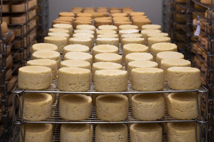 cheese-g3a3f174fe_1280-696×464