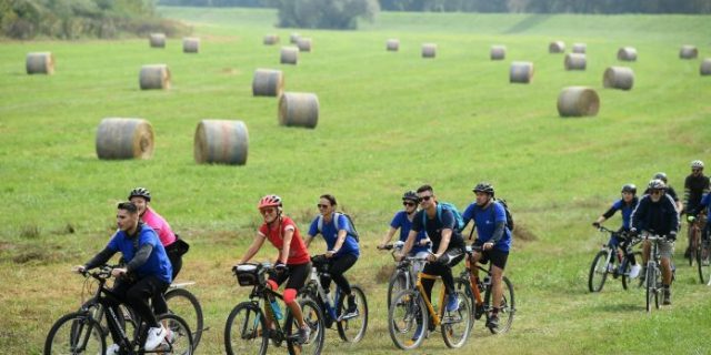 PXL_190920_30194539-696×464