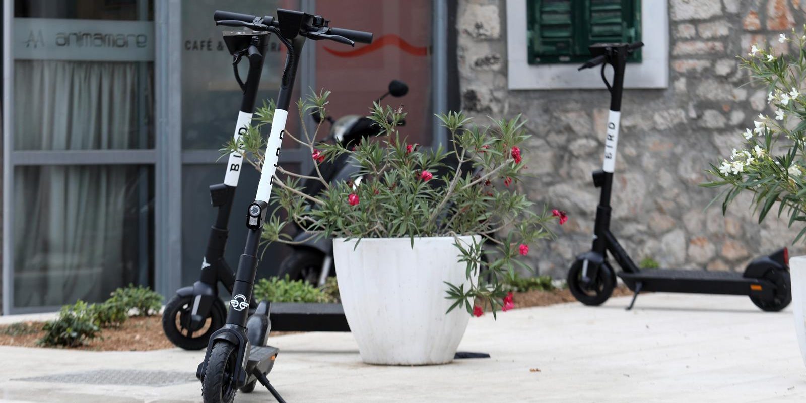 Šibenik: Električni romobili ostavljeni po cijelom gradu izazivaju bijes građana