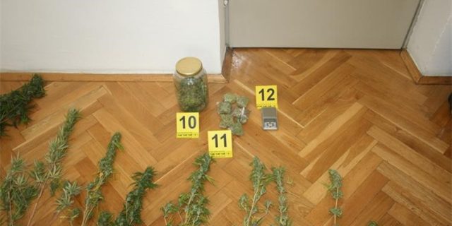 marihuana trogir 1 27092022