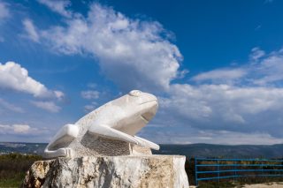 U Zmijavcima otkriven spomenik žabi