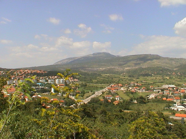Pogled_na_Drniš