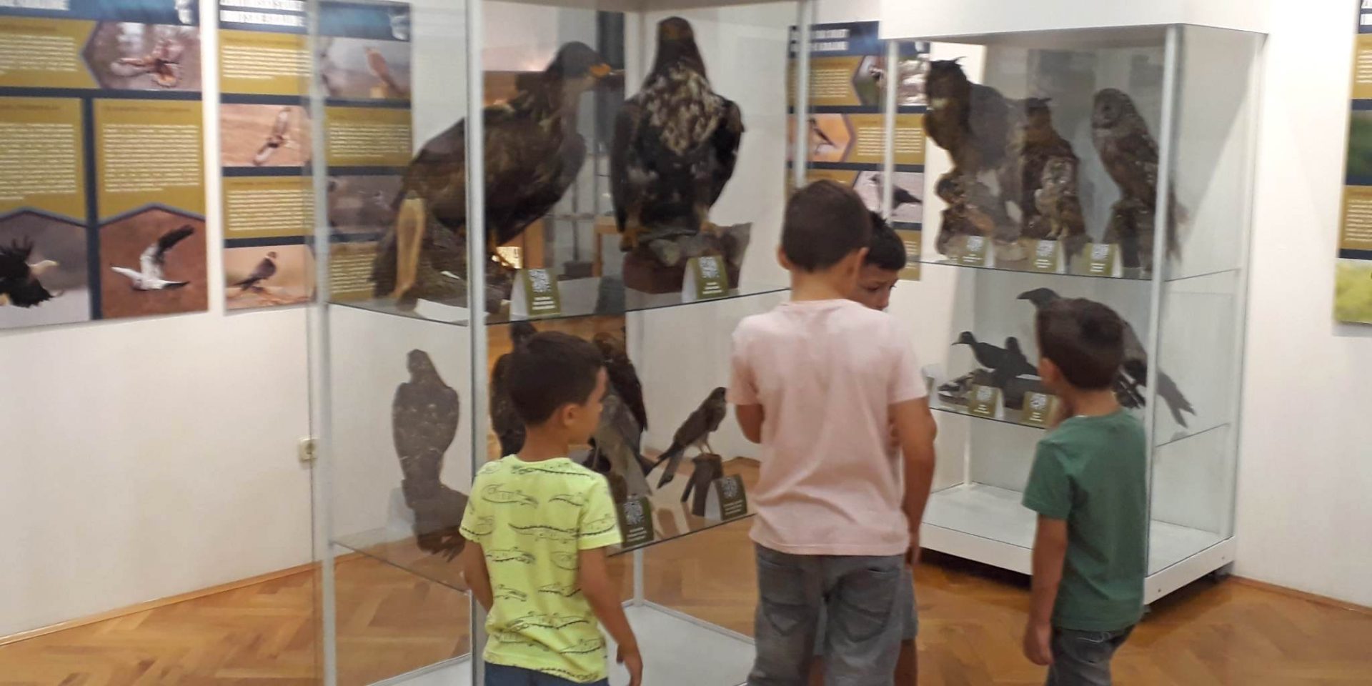 Noć muzeja 23 Imotski – najava 021 portal