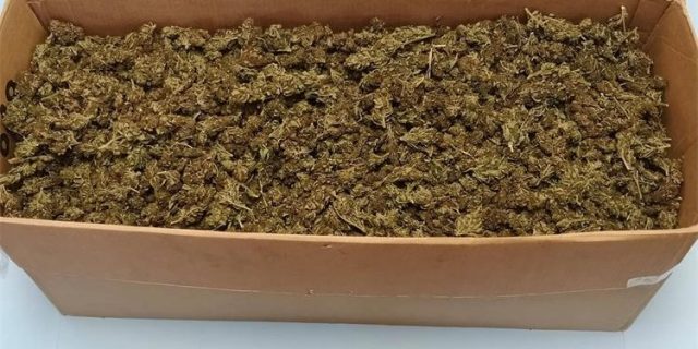 marihuana