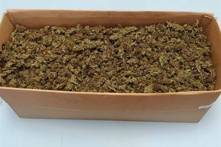 marihuana