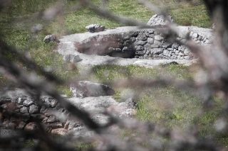 Cista Velika: Krški bunari na lokalitetu Crljivica