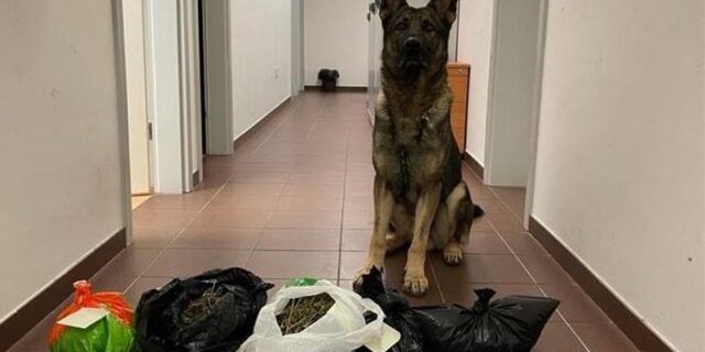droga-pas-640×476