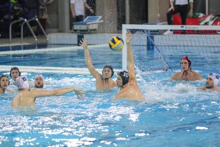 Dubrovnik: Len liga prvaka, Jug Adriatic osiguranje – FTC Telekom iz Mađarske