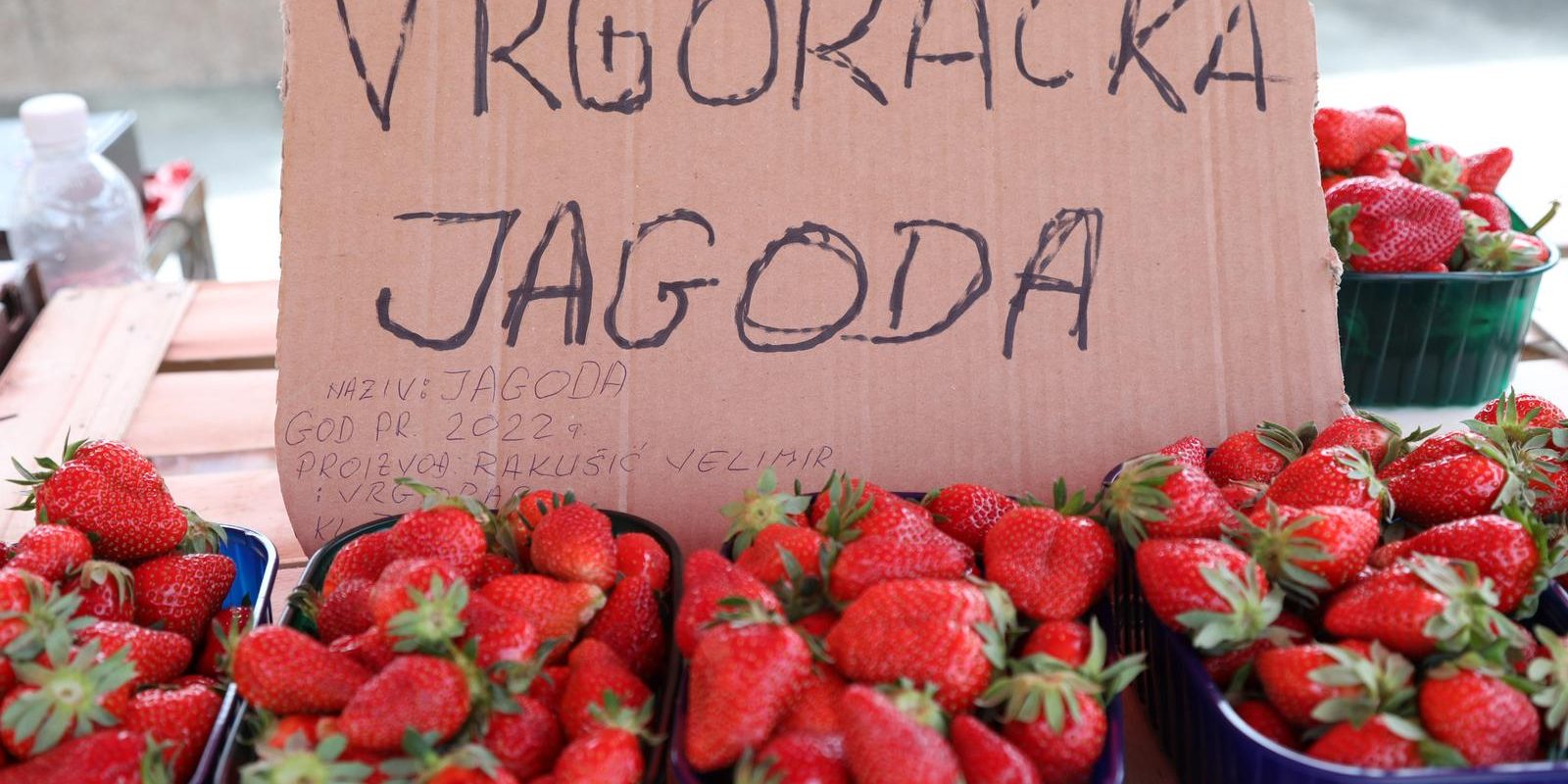 Na šibensku tržnicu stigle su  prve ovogodišnje vrgoračke jagode