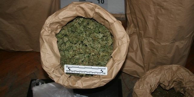 Droga usitnjena marihuana