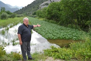Poplavljeni nasadi jagoda u Vrgoračkom polju