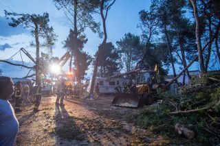 Novigrad: Vjetar u autokampu Sirena iščupao na desetine stabla