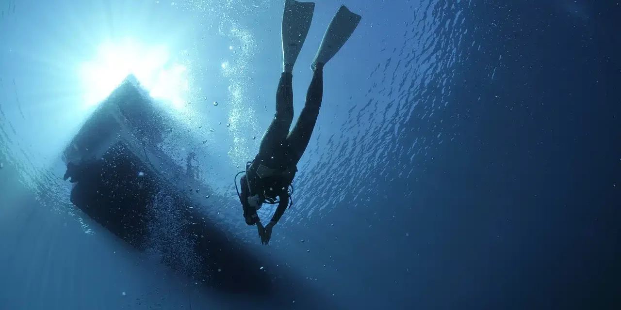 diving-1639964_1280.jpg