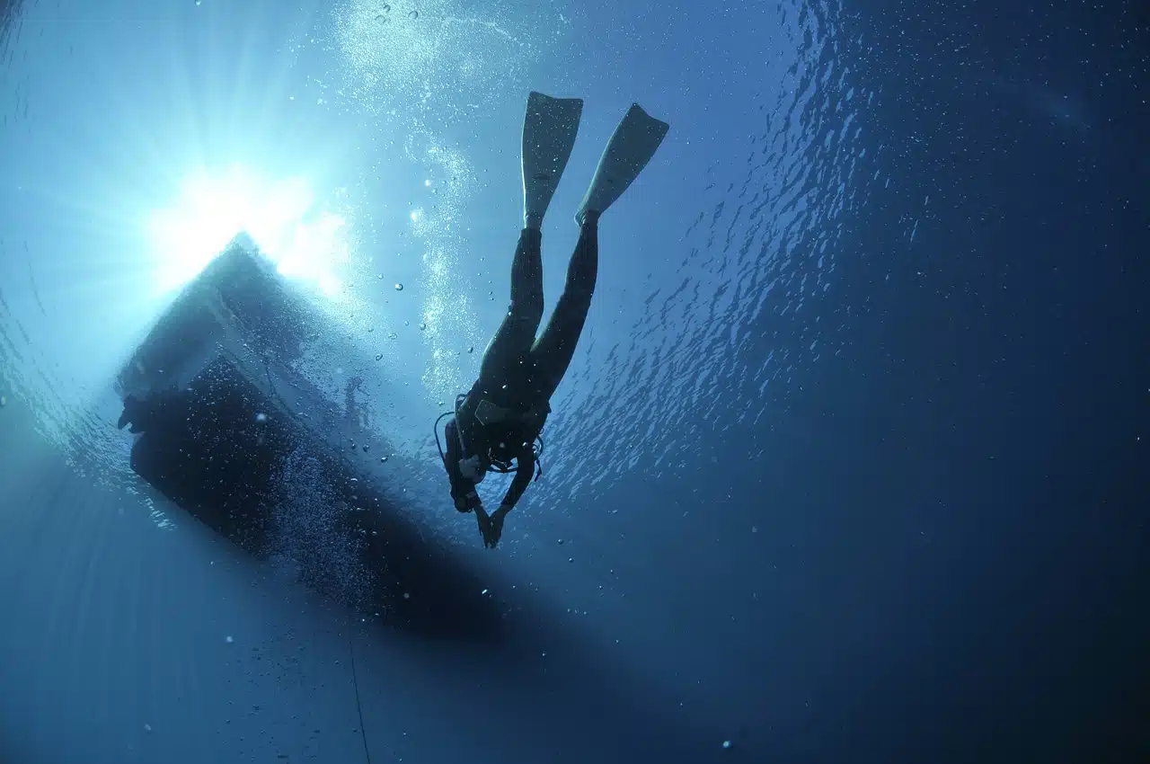 diving-1639964_1280.jpg
