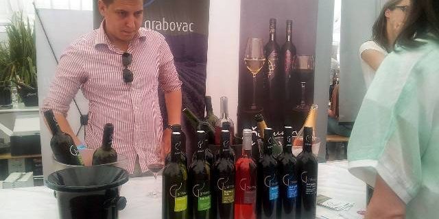 Grabovac vino