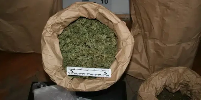 Droga-usitnjena-marihuana.jpg