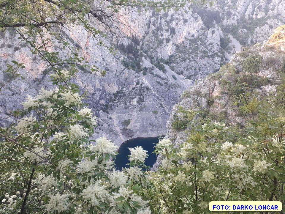 Modri ljepotan – najava 021 portal