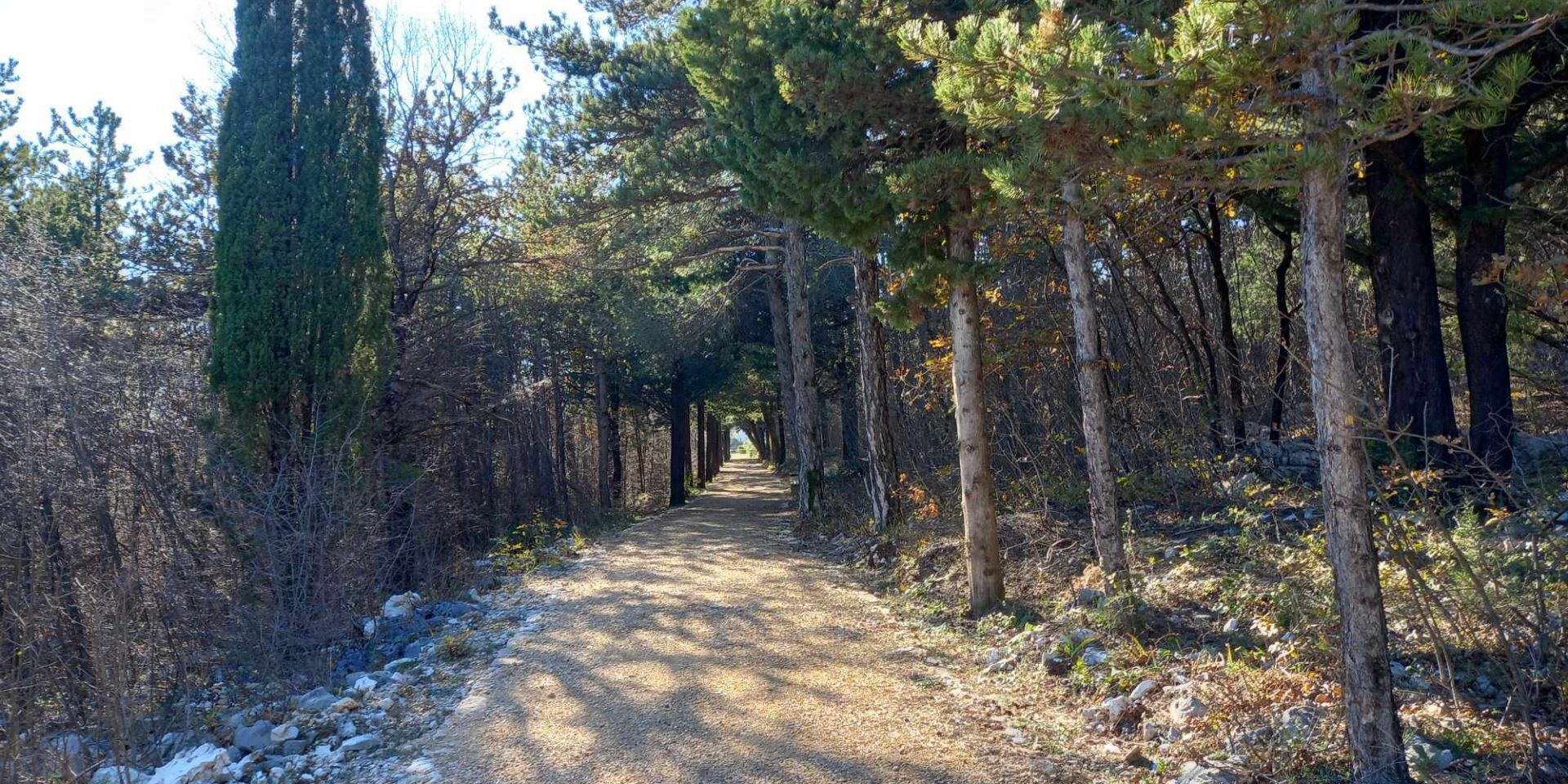 Najava izložbe Imotski – 021 portal