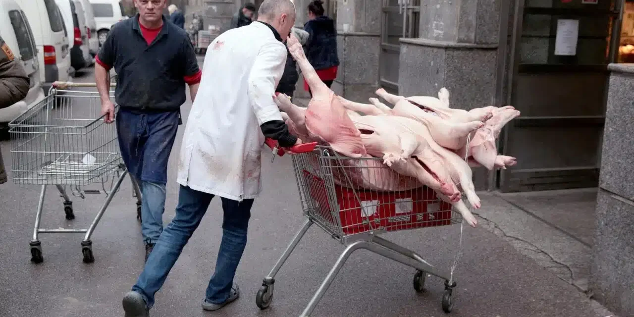 PXL_221222_97527315-1280×854.jpg