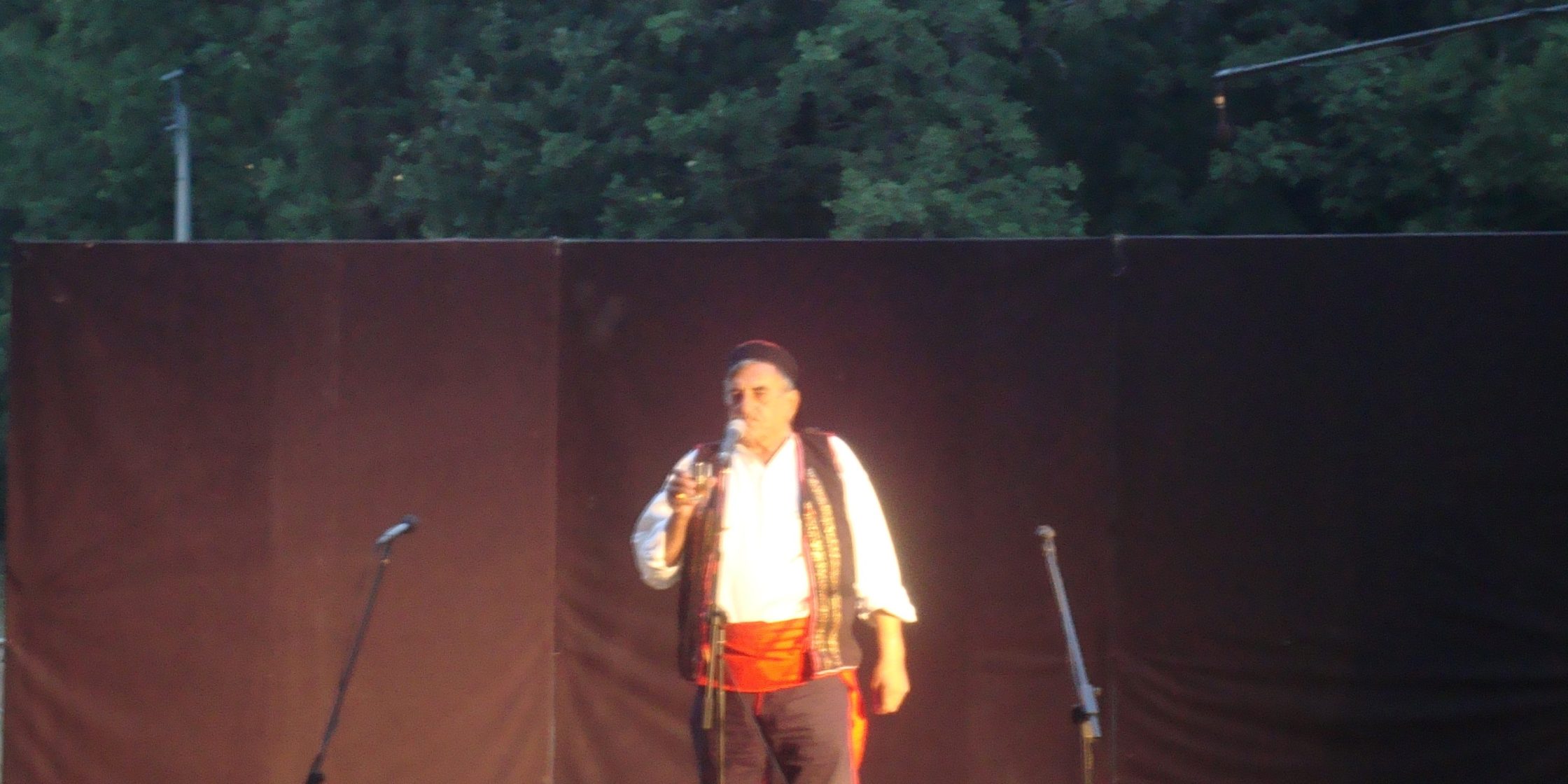 Guslar Ljoljić Drum 2015 – In memoriam 021 portal