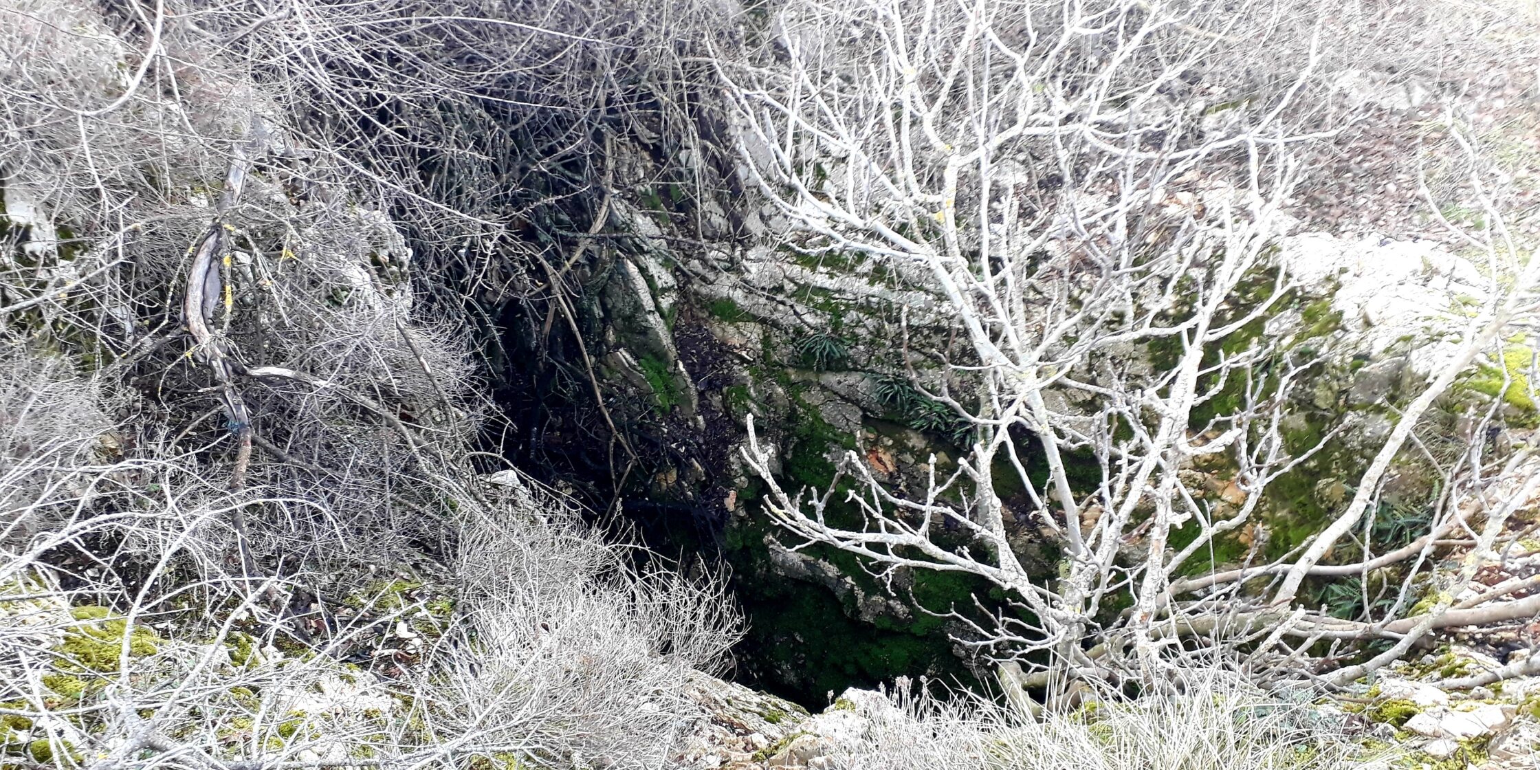 Jama najava 021 portal