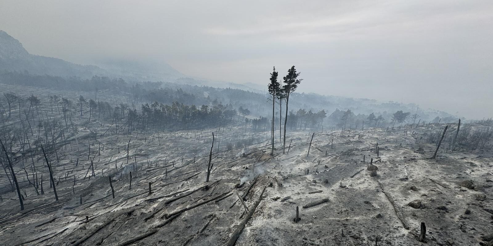 Makarska: Opožareno područje Parka prirode Biokovo