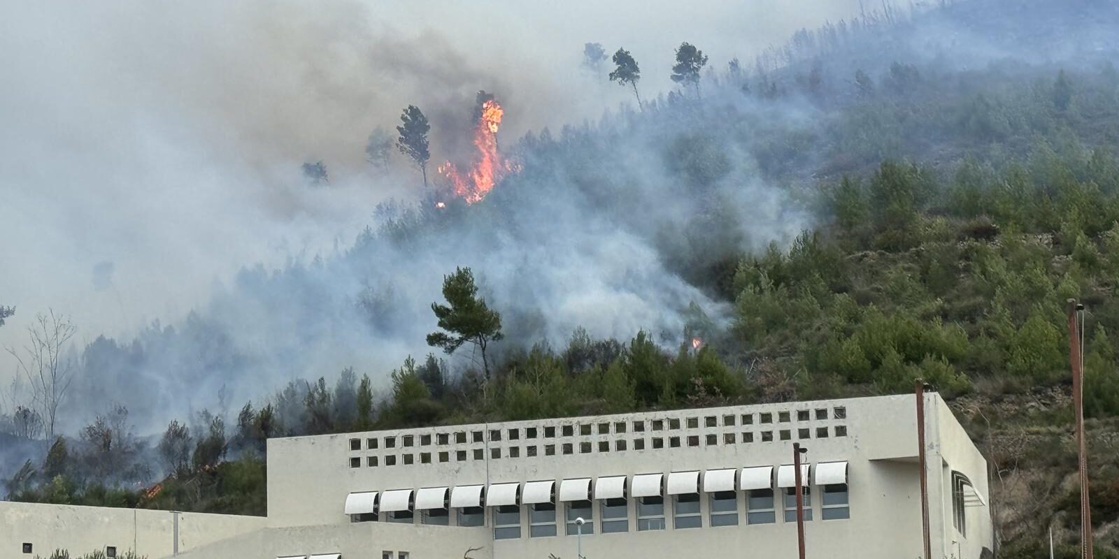 Izbio je požar u okolici Splita, jak vjetar otežava gašenje, vatra se približila školi
