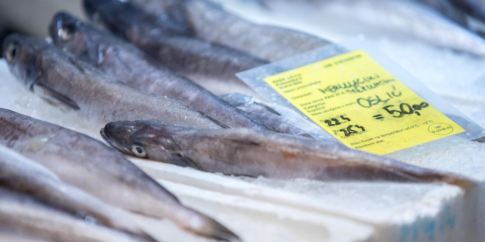 Rijeka: Pounda ribe na ribarnici
