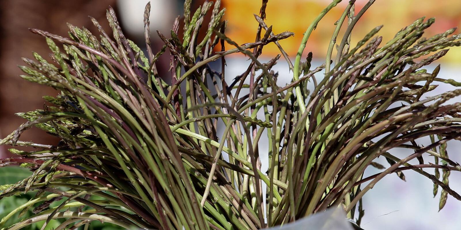 Split: Šparoge na tržnici s cijenom od 4 do 8 eura