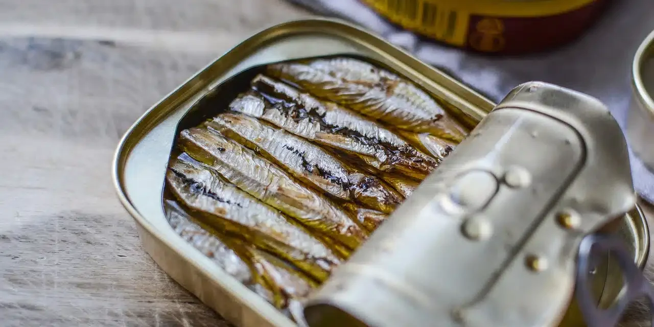 fish-3287443_1280.jpg