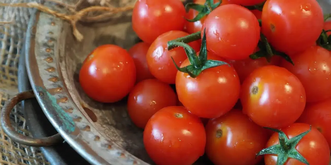 tomatoes-2559809_1920-1280×721.jpg