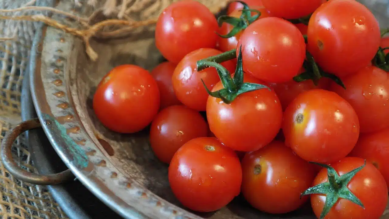 tomatoes-2559809_1920-1280×721.jpg