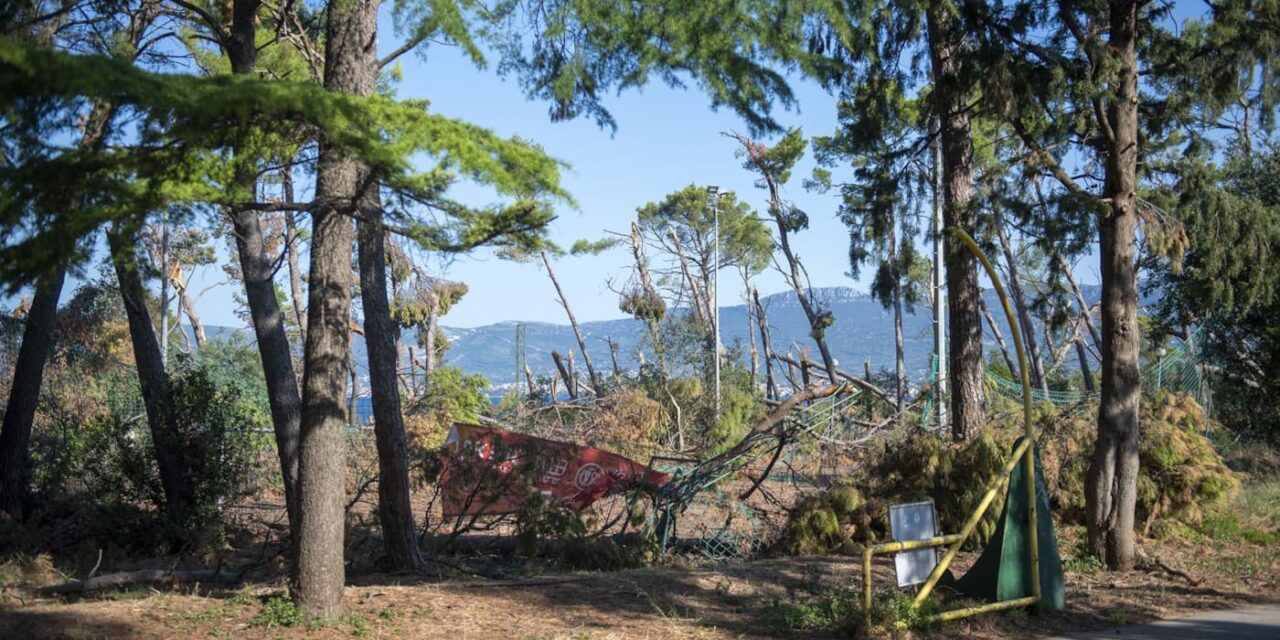 2025_07_31_park-šuma-marjan-009