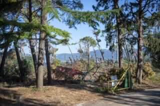 2025_07_31_park-šuma-marjan-009
