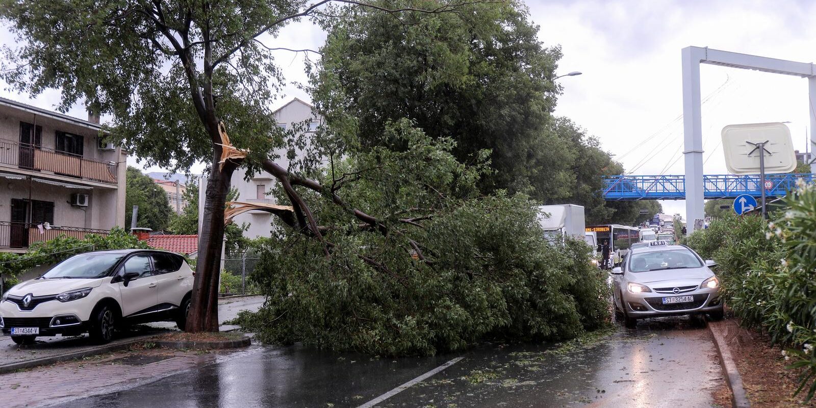 Split: U Vukovarskoj ulici srušilo se stablo tijekom nevremena