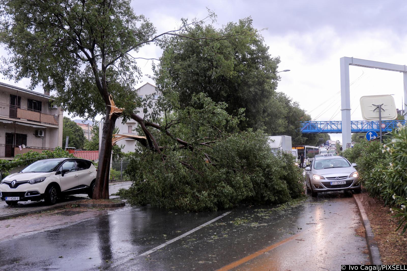 Split: U Vukovarskoj ulici srušilo se stablo tijekom nevremena