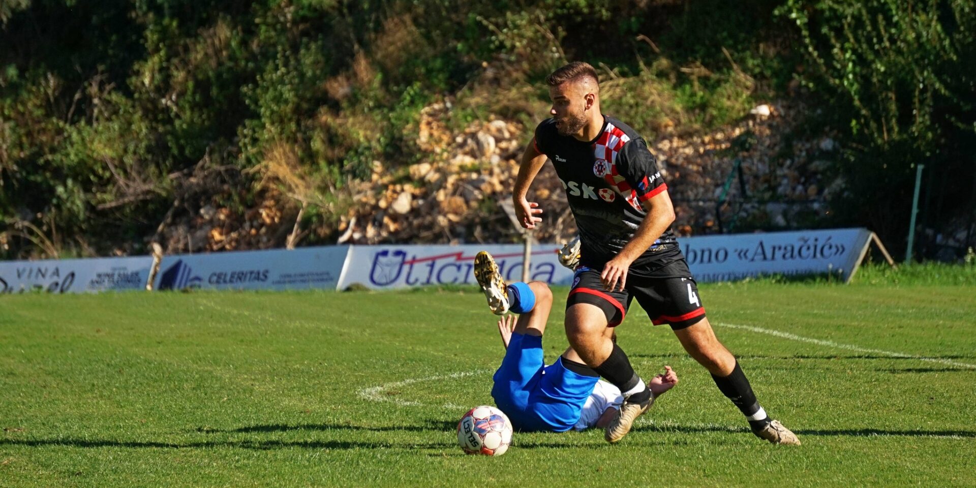 Petar Jović akcija