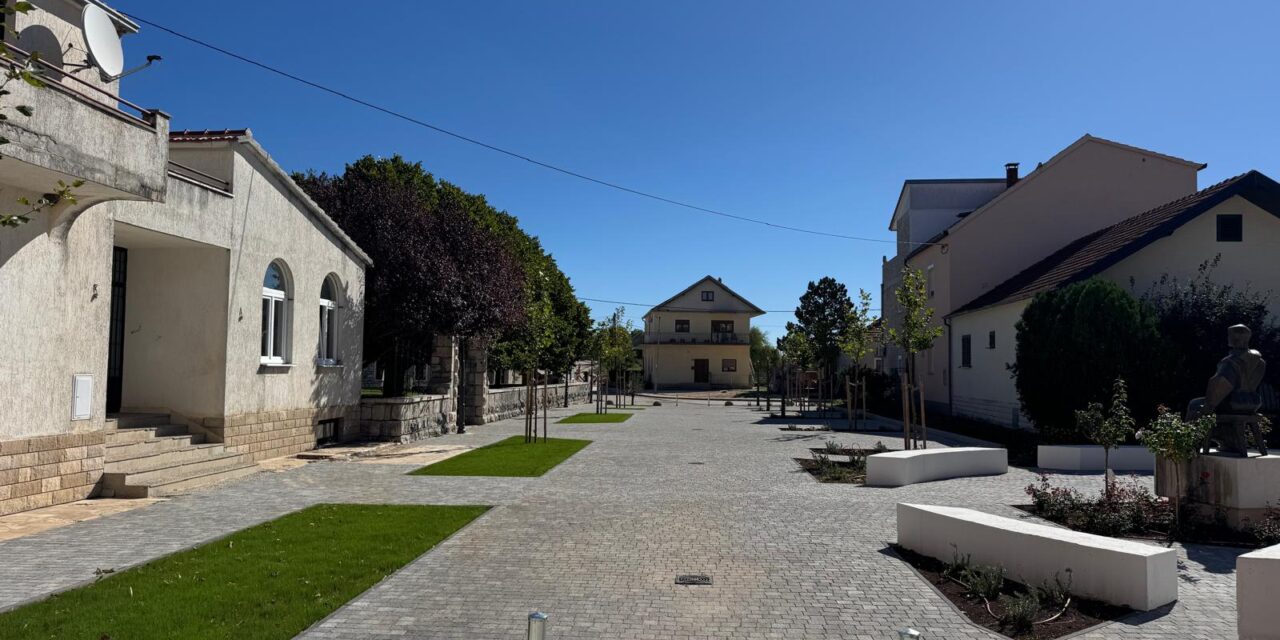 trgstudenci-2