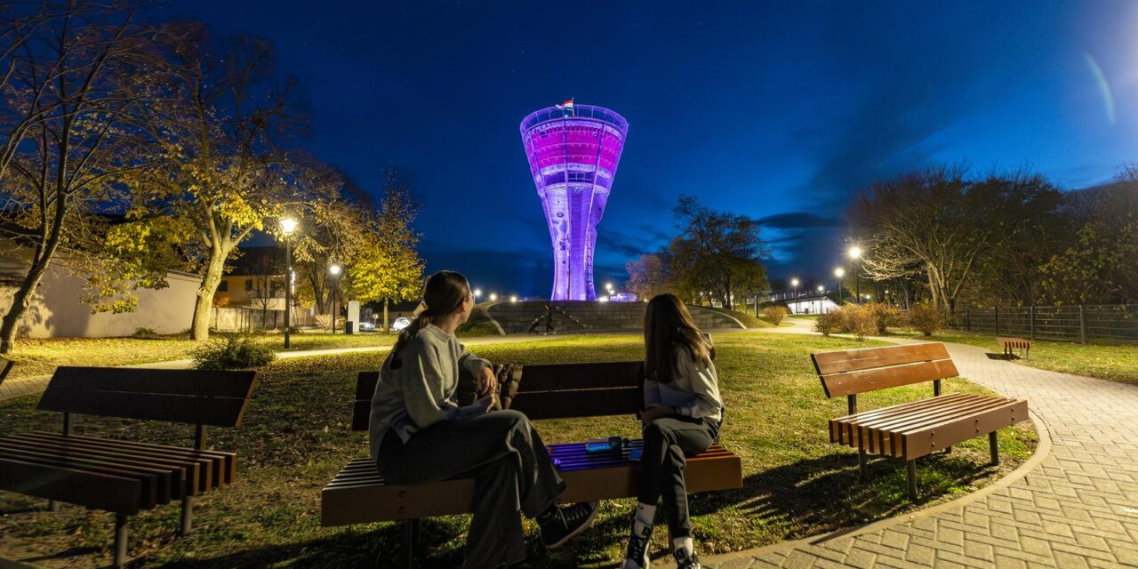 Vukovar: Osvjetljeni vukovarski vodotoranj