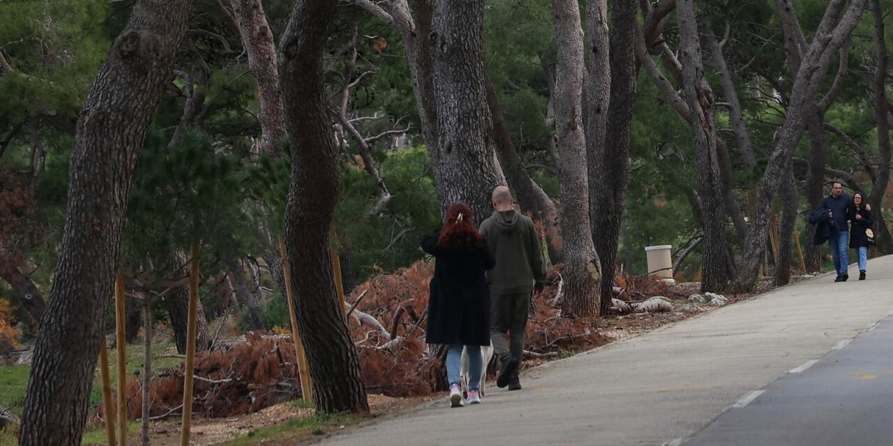 Split: Započeta sanacija Park šume Marjan nakon ljetne oluje