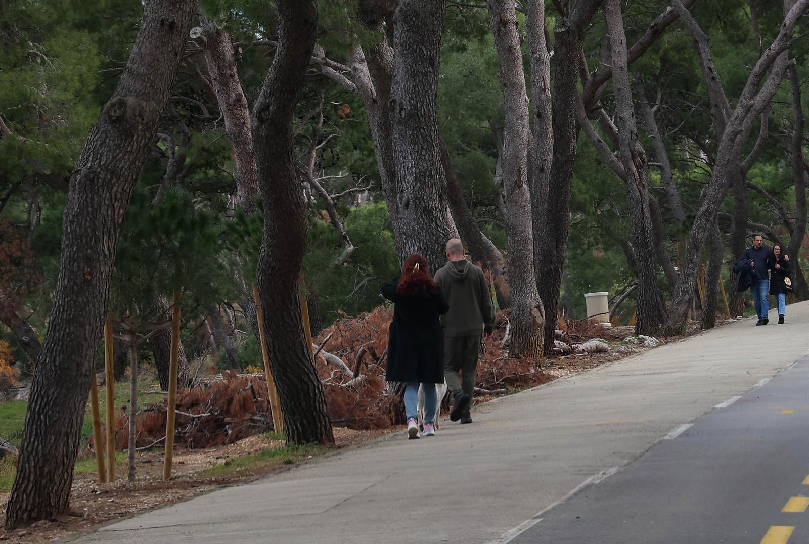 Split: Započeta sanacija Park šume Marjan nakon ljetne oluje