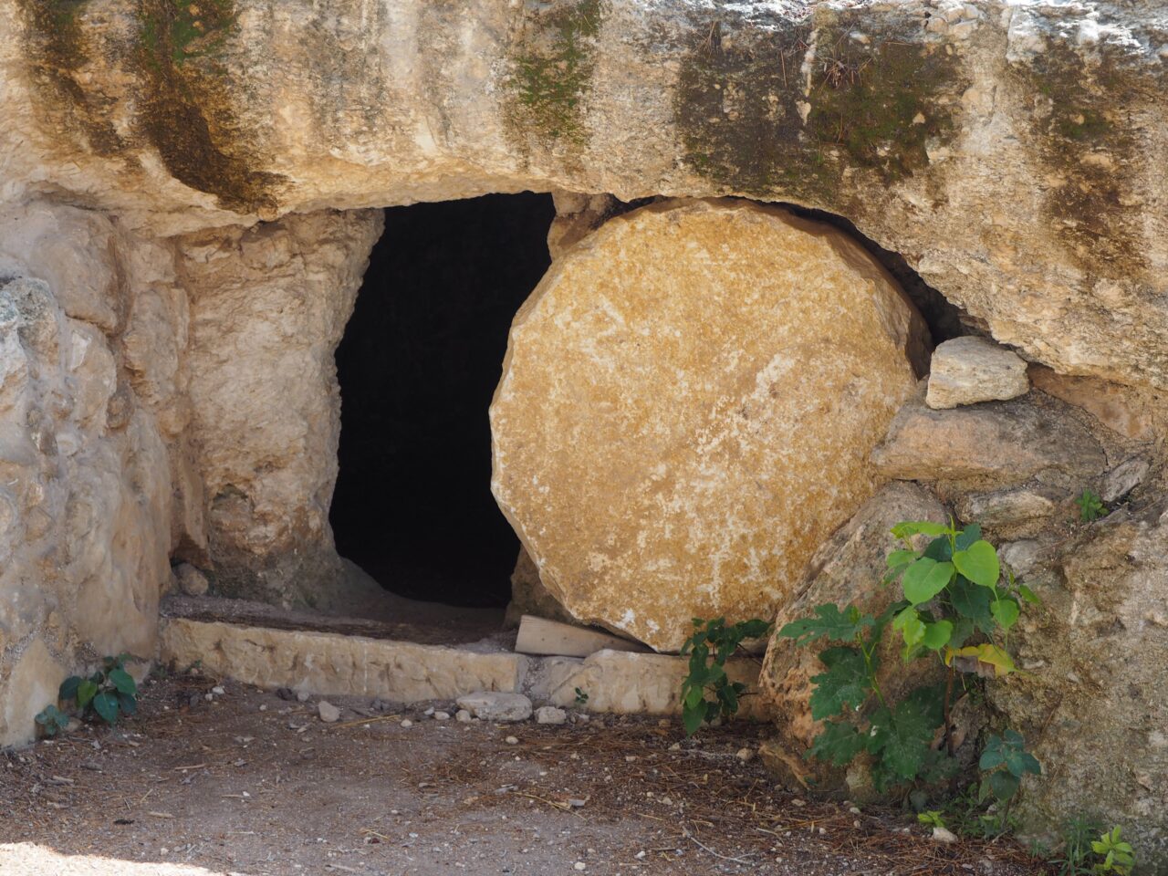 dozemode-grave-5105472-1280×960