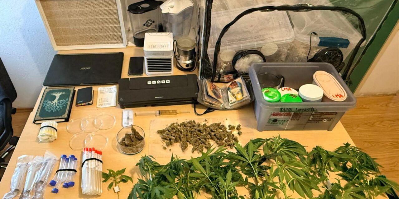 Brač droga 0605