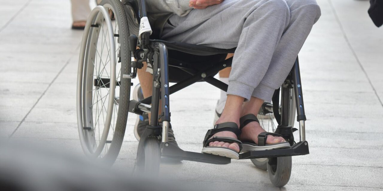 �ibenik: Ilustracija za osobe s invaliditetom