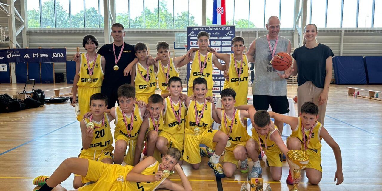u12-19